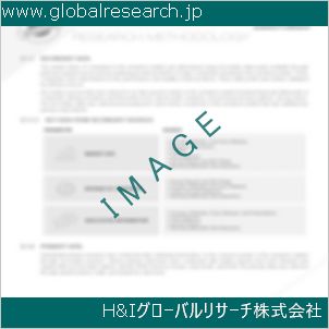 グローバルリサーチ調査資料のイメージ